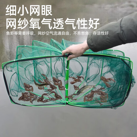 Green 16-hole fish cage set fishing net floor net fish cage fishing shrimp cage loach eel lobster fish net folding river shrimp cage