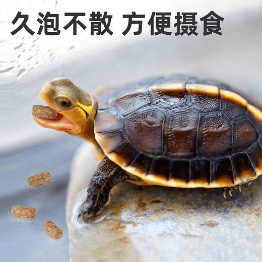 Beijing yoyu calidad alemana tortuga amarilla comida tortuga amarilla tortuga cerrada tortuga caja de tortuga especial tortuga taiyuan anyuan tortuga alimentación actualización actualización de tortuga granul