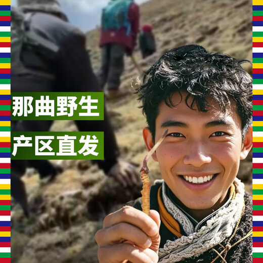 观采归野生冬虫夏草补品送长辈见家长老年人营养保健品礼盒实用高端礼品 [约2根/克] 50克健康养生100根