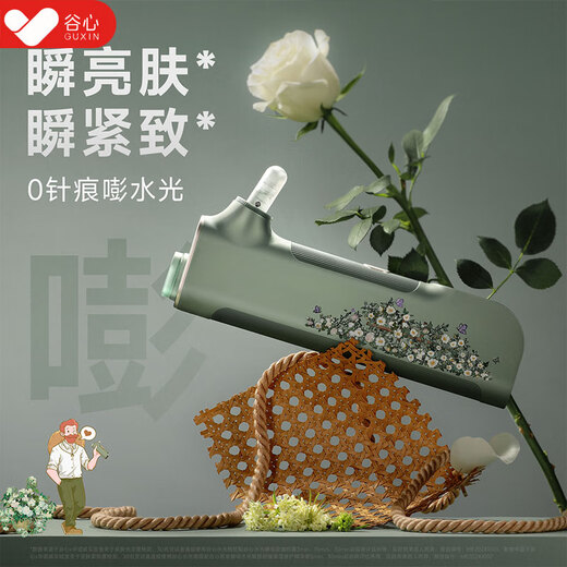 GX Diffuser Guxin water-light cannon needle-free water-light instrument self-operating household water-light needle water-light household oxygen injection meter Christmas gift birthday gift for girlfriend guaranteed price-Wild Rose