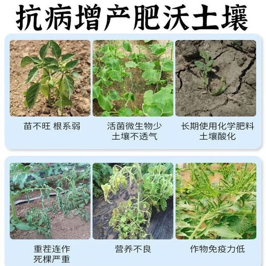 Soil-borne disease bactericide, agricultural soil fungicide, anti-repeat root rot, dead seedlings and root rot, 10 packs 500g*10
