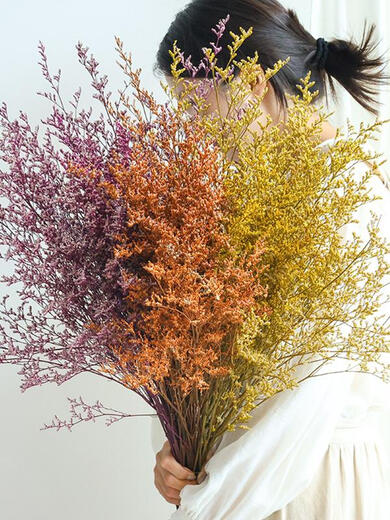 Lover's grass dried flower bouquet living room decoration aromatherapy Yunnan natural air-dried high-end real flowers dried flowers immortalized flowers immortal 6 colors mixed lover's grass 1 bouquet 55-60cm