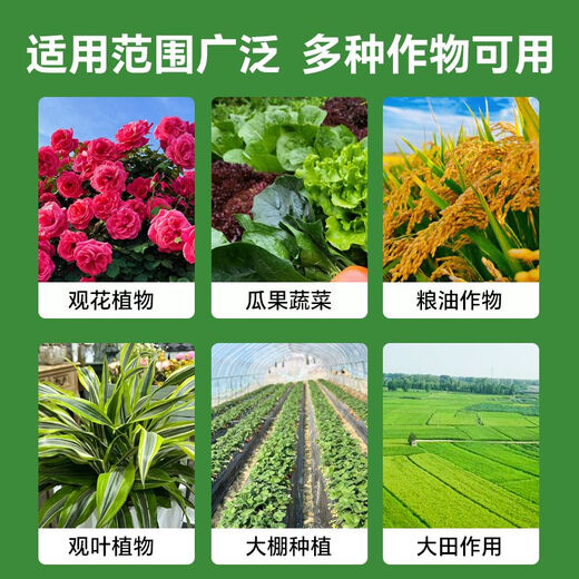 Quick Green 120 Foliar Fertilizer Chlorophyll Genuine Thick Leaf Vegetables Flowers Fruits and Vegetables Universal Water-Soluble Fertilizer Factory Direct Sales Powerful Quick Green 120 50g*50 Bags Affordable