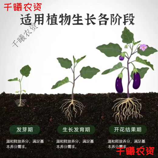 Bud Power Green Plant Fertilizer Slow Release Stick Nutrition Stick Flower Fertilizer Household Flower Gardening Universal Potted Plant Stick Flower Slow Release Fertilizer Trendy New Fertilizer/Plant Nutrition Bar Green Leaves + Flower Boosting + Root Strengthening 3 boxes of 54 pieces