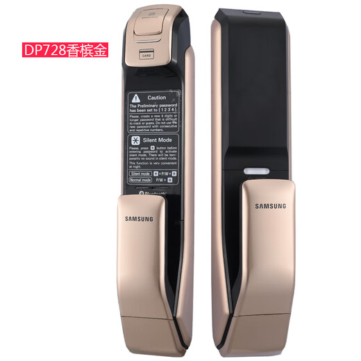 三星（SAMSUNG）电子锁原装进口智能锁家用防盗门指纹锁全自动推拉式密码锁DP728 DP728流光银（外开门）