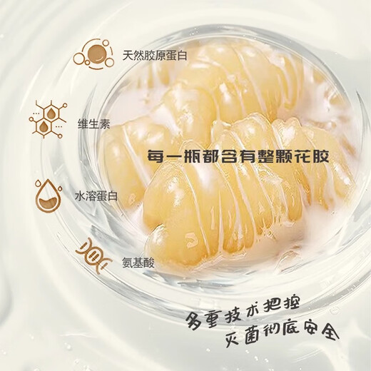 Yanjia Zhenxian gedünstetes Vogel Nest Gum 75G*10 Flaschen/Box Instant Bird's Nest Fischgummi Schwanger Frauenbeschränkung Frauen -Tonic Gift Box Pack