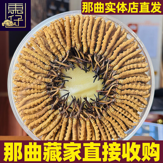 Dongzai [Narqu, Тибет] Wild Cordyceps Sinensis Высокая высокая высота дикая кордицепс Sinensis Тоническая подарочная коробка для старейшин [Narqu, Тибет] Небольшая сломанная трава-самоуправление 10 грамм (подарочная коробка)