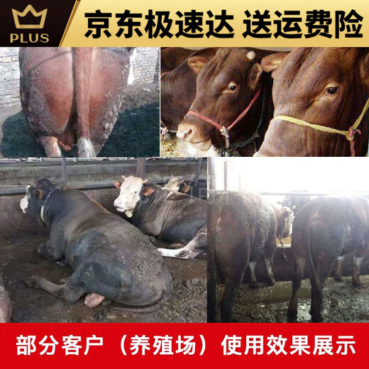 Yonghuan calf open feed calf feed pellets meat and milk cattle supplement fattening growth promotion feed 80 calf feed 20Jin Jin is equal to 0.5kg 15 days-6 months old