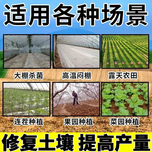 Soil-borne disease bactericide, agricultural soil fungicide, anti-repeat root rot, dead seedlings and root rot, 10 packs 500g*10
