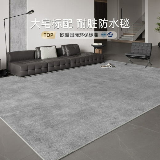 地毯客厅2024新款轻奢沙发毯免洗可擦加厚纯色床边毯灰色地垫 冬岩-16780 1件 140CM*200CM新升级防水丝