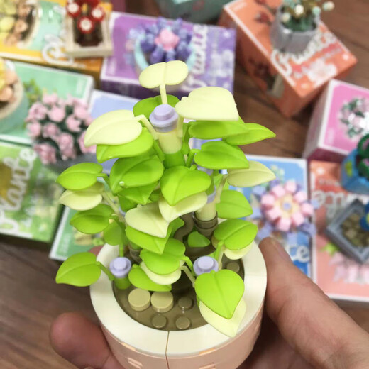 Mit Lego Jiaqi China Mini Sukkulente Topfbaubausteine kompatibel. Toy Girl Serie Eternal Flower Teacher's Day Liebhaber XJ-10975 (b) Ju Huangyu