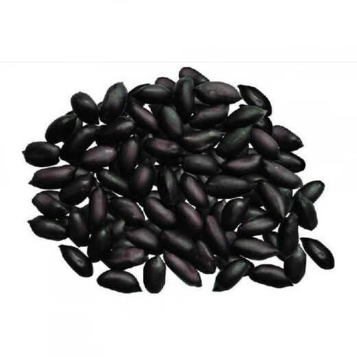 Black peanut seeds, sown in spring and summer, purple and black peanut seeds, black seed peanuts, original peanuts for field use, net weight in shell, 500 grams