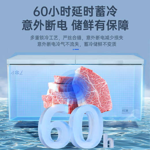 雪花冰柜商用大容量全冷冻家用卧式冷藏冷冻两用单温双温冷柜雪糕展示柜速冻柜 568双温ultra数显版|一级节能|减霜95%