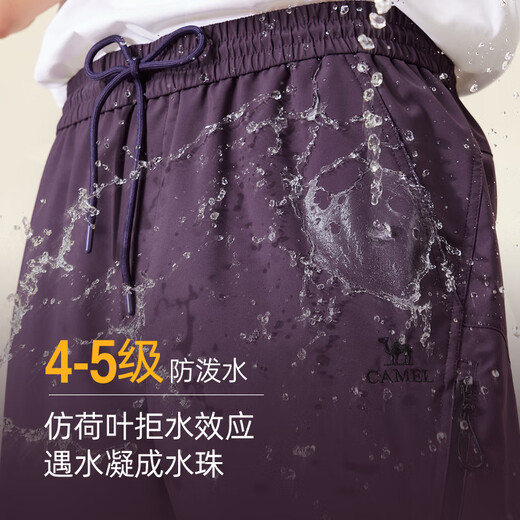 Camel (CAMEL) casual pants for men, autumn and winter new style 2025 outdoor water-repellent loose casual assault trousers for men M15CA76042