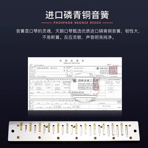 天鹅德国进口音簧珍藏版复音口琴28孔高端送礼入门专业演奏级 【高端款】28孔复音A调+伴奏U盘