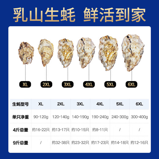 Bassling Fresh Rushan Ecological Oysters 8XL Net weight 9Jin Jin is equal to 0.5kg 8-11 pieces Straight from the source
