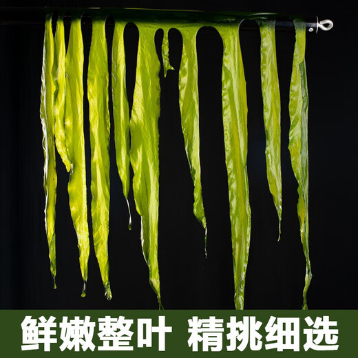 盐渍裙带菜 鲜海带非干货海带嫩苗儿童海菜海白菜海藻菜凉拌 盐渍裙带菜嫩叶500g