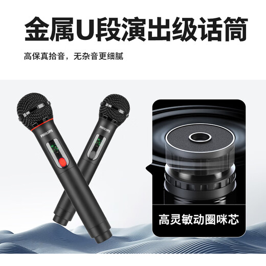 飞利浦 广场舞视频音响带显示屏家庭ktv音响套装户外便捷卡拉ok点歌机音响功放一体机电视k歌蓝牙音箱 【高端】专业麦+长续航+12吋低音