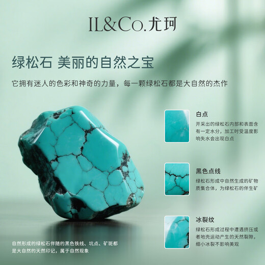 IL&CO Youke Turquoise Necklace Necklace Women's Light Luxury Fashion Chinese Valentine's Day Gift for Girlfriend and Wife
