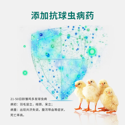 Baomu chick feed wholesale chicken chick feed open grain special rutin chicken quail full price pre-mixed granules chick feed 1 bag of Jin Jin is equal to 0.5 kg