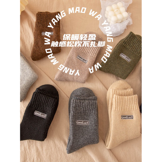 Antarctic Antarctic Wool Socks Men's Breathable Thick Sleeping Socks Warm Wool Lined Thickened Mid-Length 2025 New Autumn and Winter Black*4 One Size