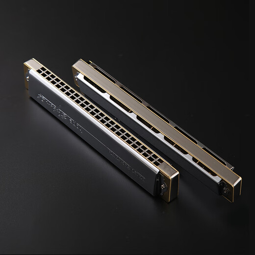 Tombo Tongbao 6624s Tongqin Grille 24-trous harmonica polyphonique Advanced débutant professionnel de jeu professionnel de la version collector