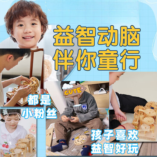 BEYZK儿童玩具开发智力动脑拼装积木实木木制滚珠弹珠轨道男孩礼物 基础版(入门优选)-电池版