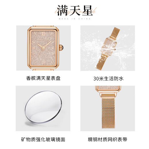 
FIYTA (FIYTA) FIYTA (FIYTA) FIYTA mini quartz watch for women with small square watches with simple temperament and versatile style. FIYTA CK15832