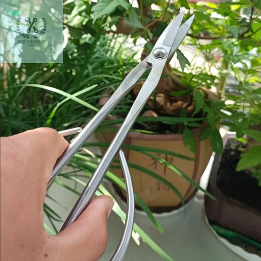 LNGA LANDGRE leaf bud shears all stainless steel gardening shears leaf bud shears bud scissors flower arrangement bonsai branch shears pruning twigs shears trees leaf bud shears all stainless steel gardening shears leaf bud shears buds