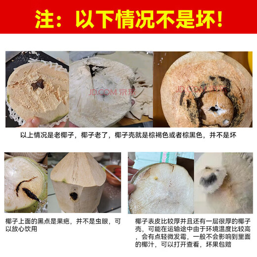 Guo Yishou Hainan Peeled Green Coconut, delivered to your home quickly, sweet and fresh coconut for pregnant women, fruit replenishing amniotic fluid, tender green coconut, coconut with skin, single fruit 3-5 Jin Jin is equal to 0.5 kg, about 2 pieces, free coconut opener + straw