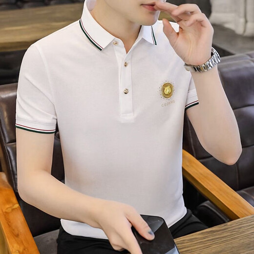 FJLT轻奢高档品牌polo衫男士T恤夏季新款时尚短袖翻领商务透气上衣 F6628（绿色） 2XL (建议140-160斤)