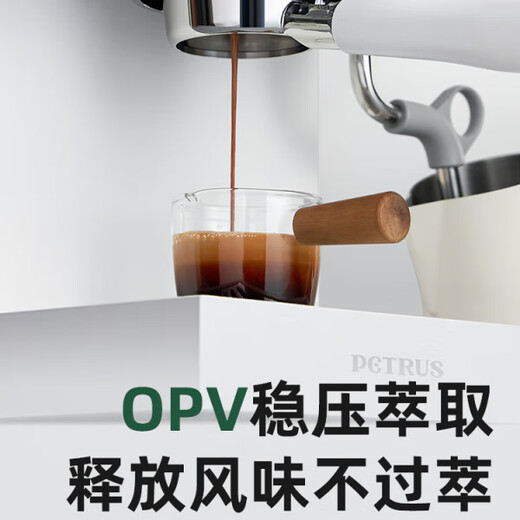 柏翠（petrus）柏翠PE3888直白咖啡机小型家用美意式全半自动商用 白色