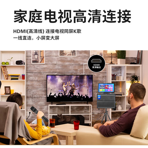 飞利浦 广场舞视频音响带显示屏家庭ktv音响套装户外便捷卡拉ok点歌机音响功放一体机电视k歌蓝牙音箱 【高端】专业麦+长续航+12吋低音