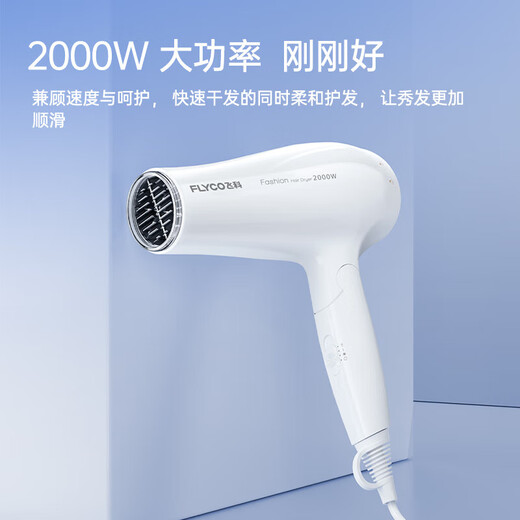 飞科（FLYCO）电吹风机家用大功率负离子吹风筒护发不伤发大风力速干轻小巧便携专业沙龙吹风 【2000W大功率 可折叠】FH6232