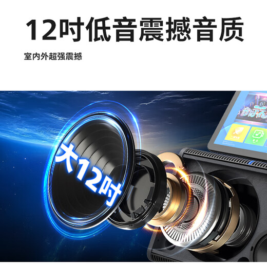 飞利浦 广场舞视频音响带显示屏家庭ktv音响套装户外便捷卡拉ok点歌机音响功放一体机电视k歌蓝牙音箱 【高端】专业麦+长续航+12吋低音