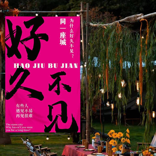 何佳功打卡户外露营氛围感装饰布卧室餐厅背景布墙布毛笔字挂布 4877-喜乐02 四角打孔90高*60宽厘米+送绳子