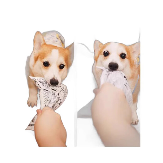 Beiyipin dog toy, making noise, newspaper, self-entertainment and boredom relief artifact, bite-resistant and molar-resistant Corgi Bichon puppy pet supplies