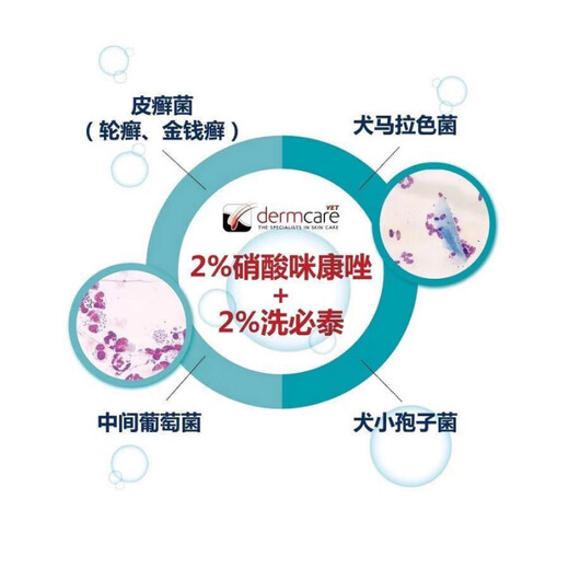 Spicy cat and dog medicated bath skin fungus shower gel shampoo bath pet New Zealand 250ml spicy cat fungus shower gel