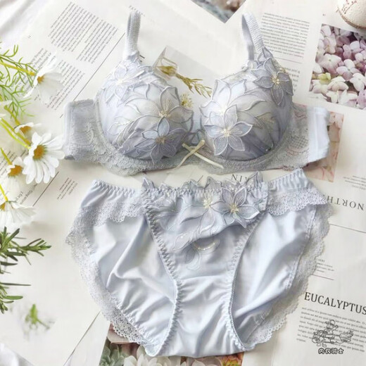 Yalu Risa, японский комплект D, тяжелая промышленность, изысканная вышивка, милая фея, бюстгальтер пуш-ап на косточках, чашка EF, голубая чашка, слишком маленькая 80B