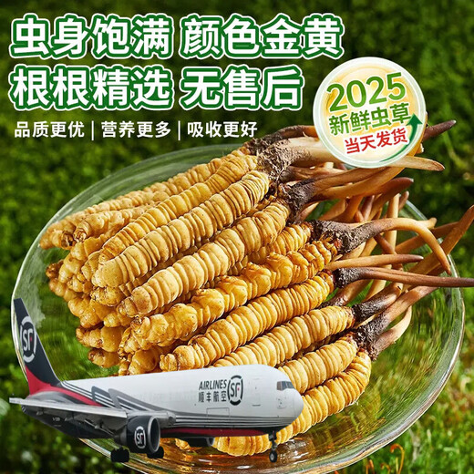 618超级彩蛋新鲜冬虫夏草2025年头期虫草正品领导高海拔送礼正宗鲜虫草过节 4根1克 30根干虫草 盒装