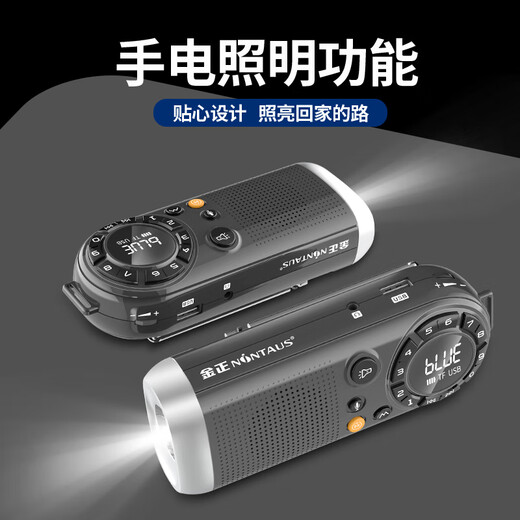 Jinzheng C20 radio for the elderly special plug-in card speaker flashlight lighting portable charging outdoor camping park multi-function music player plug-in card U disk portable small audio
