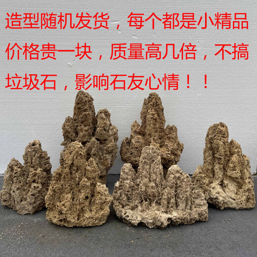 High-quality water stone bonsai rockery absorbent stone decoration natural water rust stone 10-14cm free grass seeds and stones
