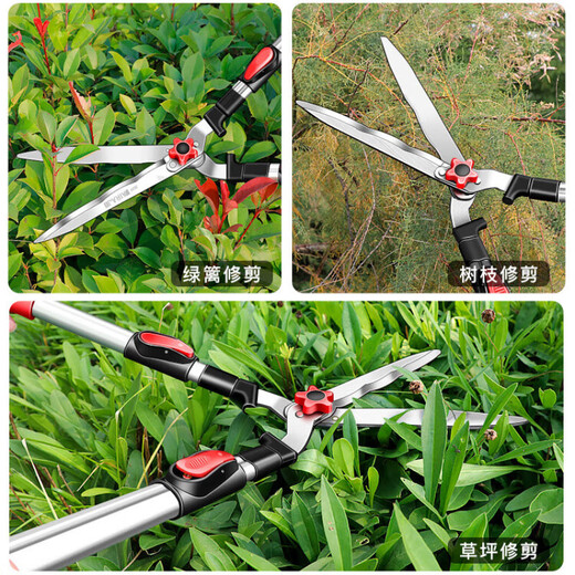 RSRDDY German selected gardening scissors, fruit branch garden lawn pruning shears, Japanese landscaping tools, flagship double-edged straight-grained blade telescopic model