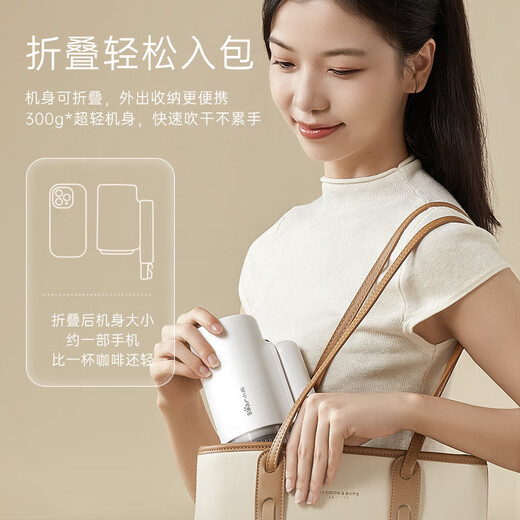 Bear Hair Dryer Negative Ion Hair Dryer Home Hair Dryer High Power Student Dormitory Low Power Portable Folding Birthday Gift for Girlfriend and Wife Recommended National Subsidy