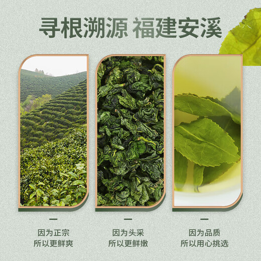 Tieguanyin neuer Tee authentisch Fujian Anxi Oolong Tee reichhaltig und duftender Duft authentisch kons