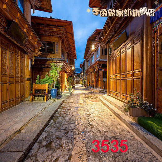 萝大搬（LUODABAN）主播直播间室外夜间风景路灯农村小路风景布3d立体网红直播背景布 1.5米宽2米高 109