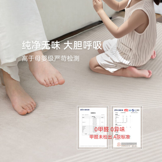 Pixel carpet living room 2025 new light luxury sofa mat without washing and erasable household waterproof bedroom thick Tianjin Qingqiang-13566 180cm*250cm [No care]