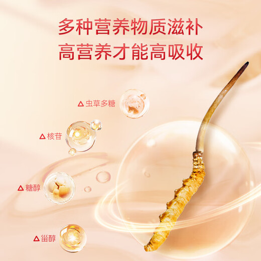Dongyangguang Cordyceps sinensis 3-4 Wurzeln/G Neu getrockneter Cordyceps nahrhafte Geschenkbox Cordyceps Ergänzungsgeschenke an Eltern und Älteste etwa 6 Gramm [hohe Kostenleistung]