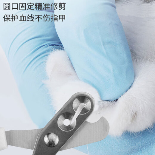 Pet Detective pet nail clipper cat nail clipper artifact small dog nail clipper white and purple single hole