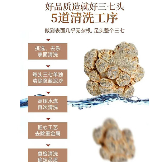 
Chen Dingqi Panax notoginseng Yunnan Wenshan Chun Panax notoginseng Chinese herbal medicine 20 heads 10 heads without cuts Tian Qi Sanqi head [Selected 16 heads 16-500g new products for the season]